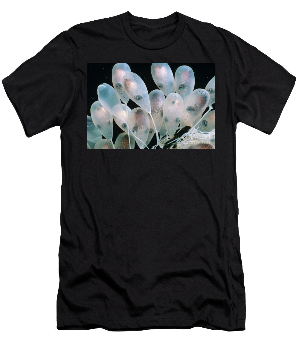 Pacific Giant Octopus Eggs Fred Bavendam T-Shirt