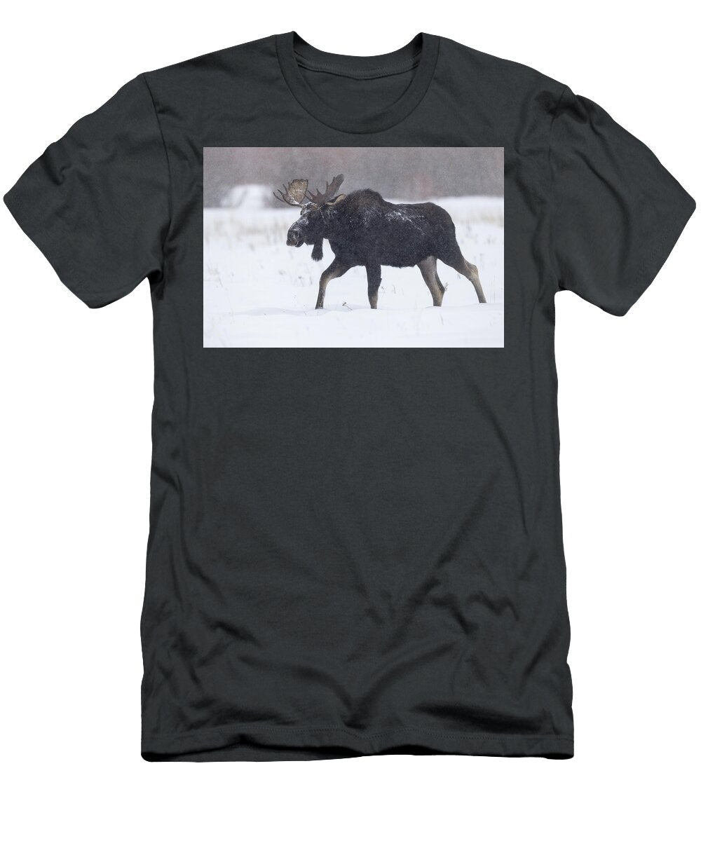 Paddles Julie Argyle T-Shirt
