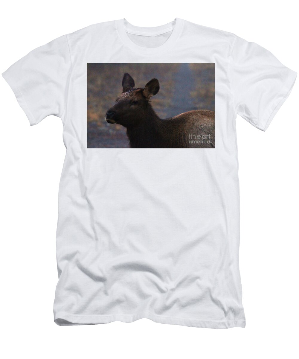 Painted Elk Julie Argyle T-Shirt