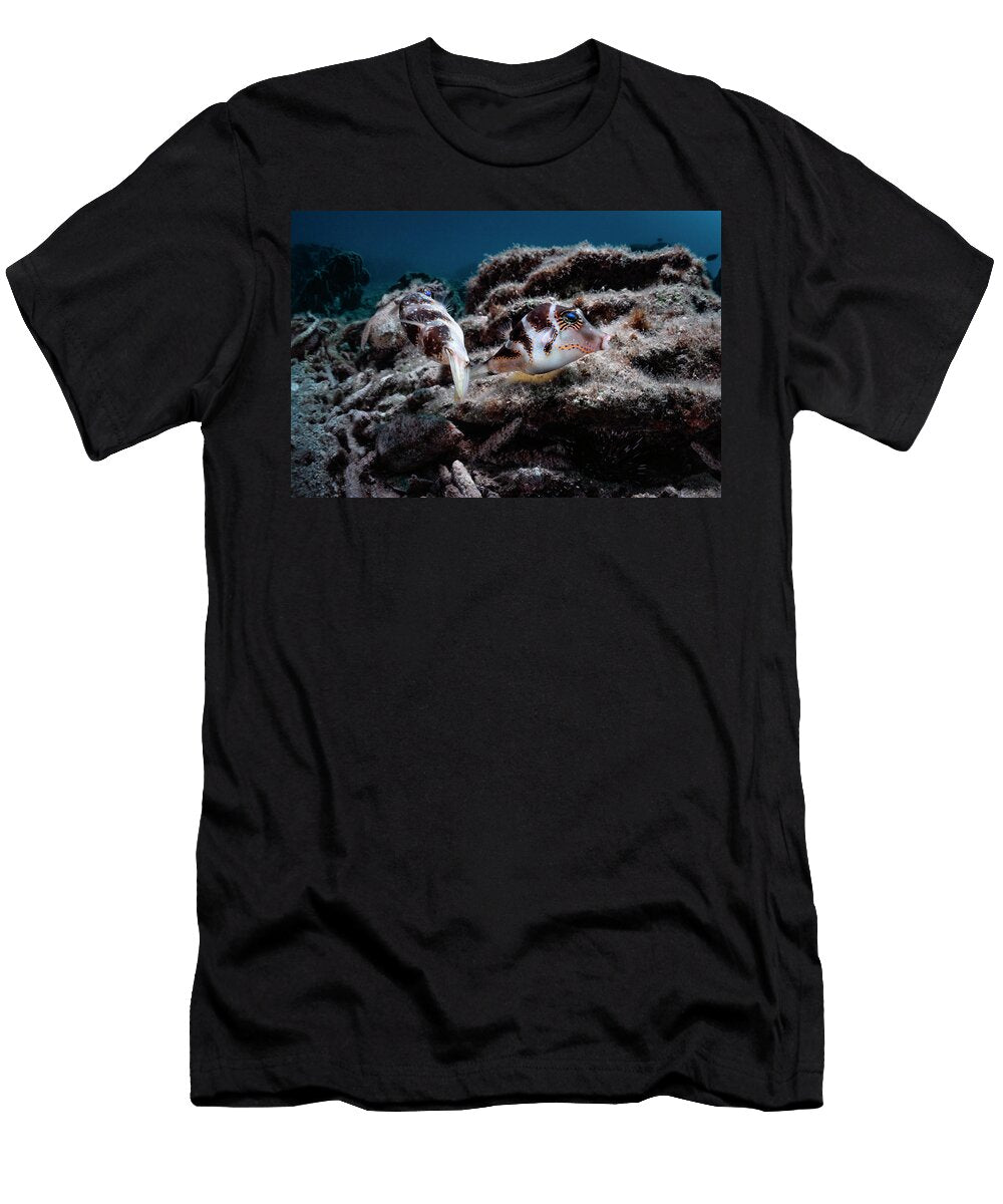 Pair of Crowned Puffer with the Female Above Her Clutch of Tony Wu Natureplcom T-Shirt