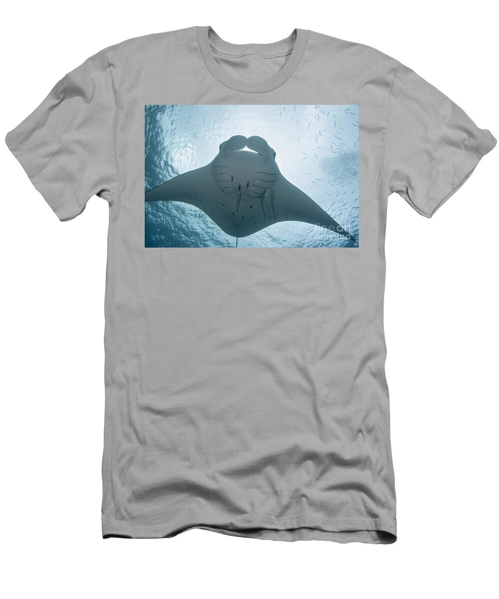 Palau Manta Ray Dave Fleetham T-Shirt