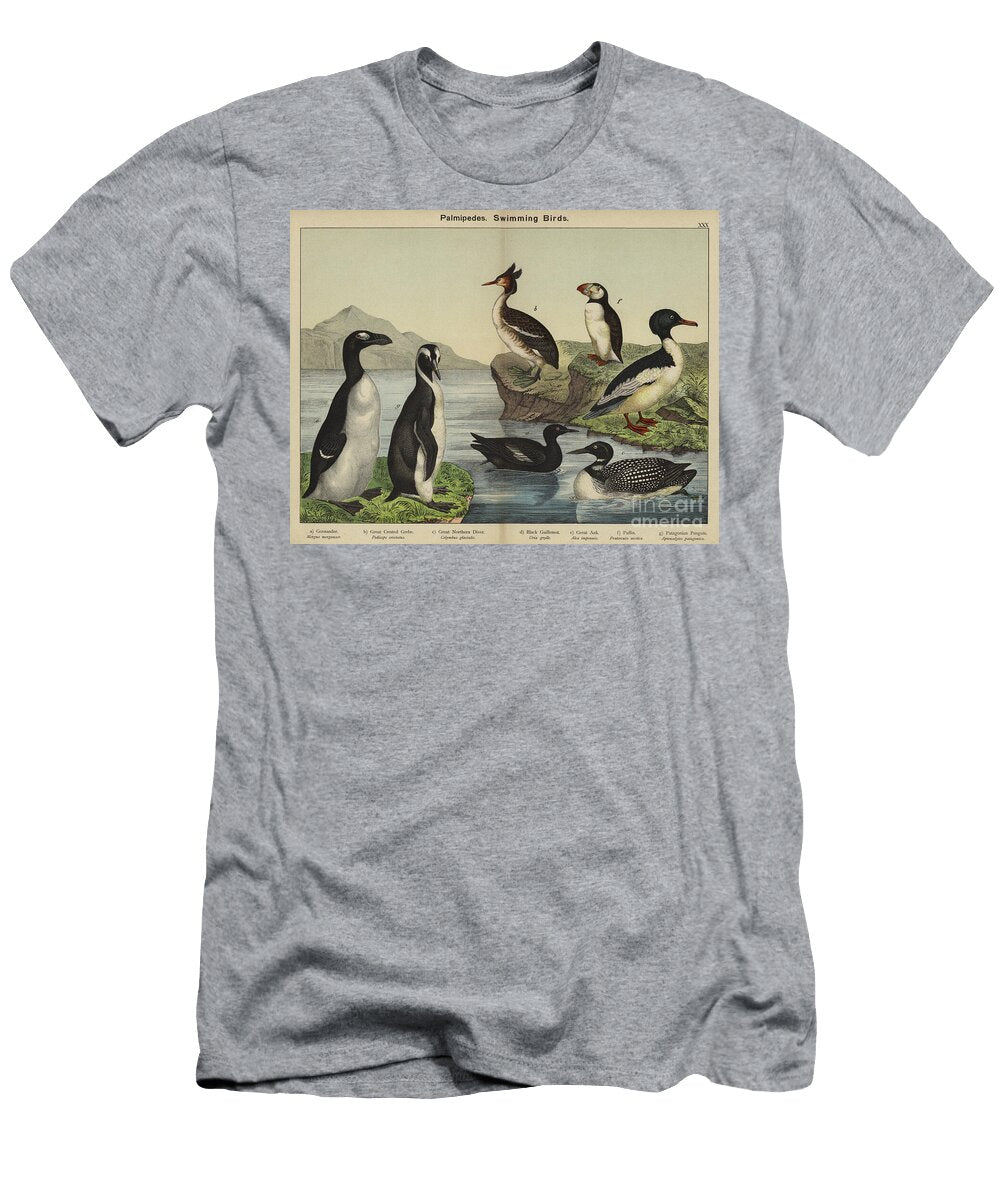 Palmipedes Swimming Birds European School T-Shirt