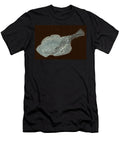 Pancake Fish Fossil Millard H Sharp T-Shirt