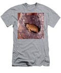Pancake Tortoise Steve Cooper T-Shirt