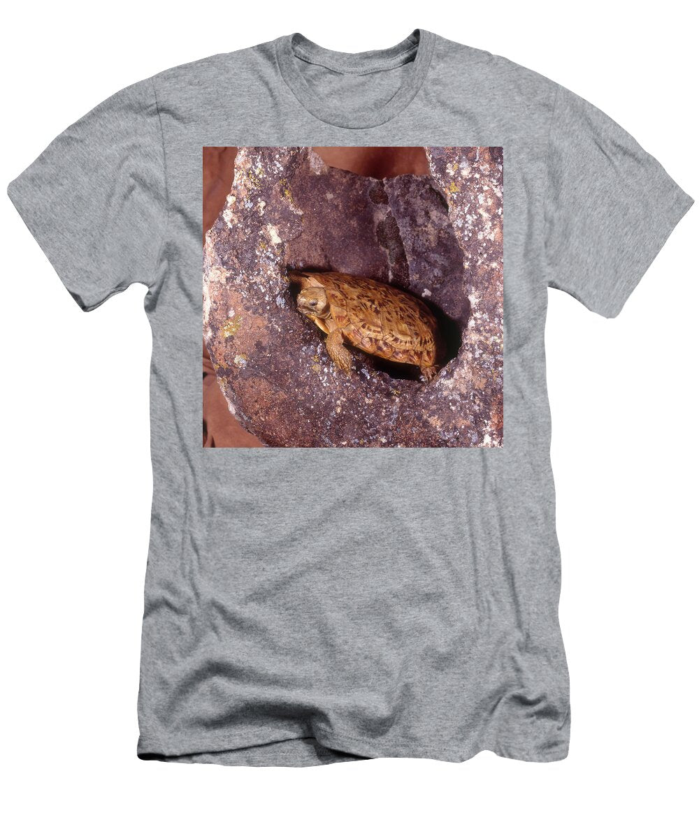 Pancake Tortoise Steve Cooper T-Shirt