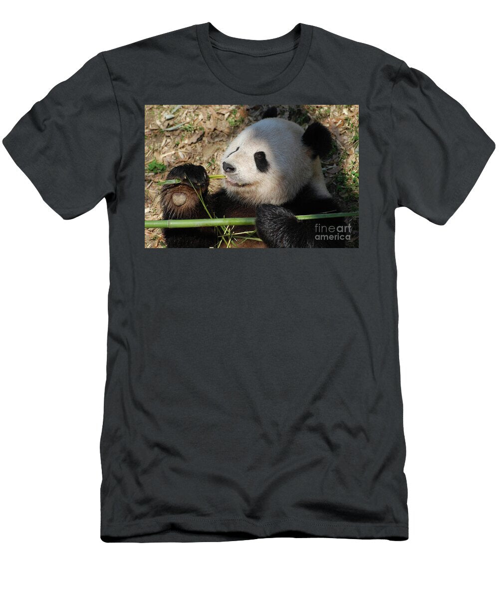 Panda Bear Clutching Bamboo in His Paw Dejavu Designs T-Shirt