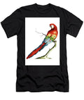 Parrot Called Brazilian Red Macaw By Saverio Manetti Mango Art T-Shirt