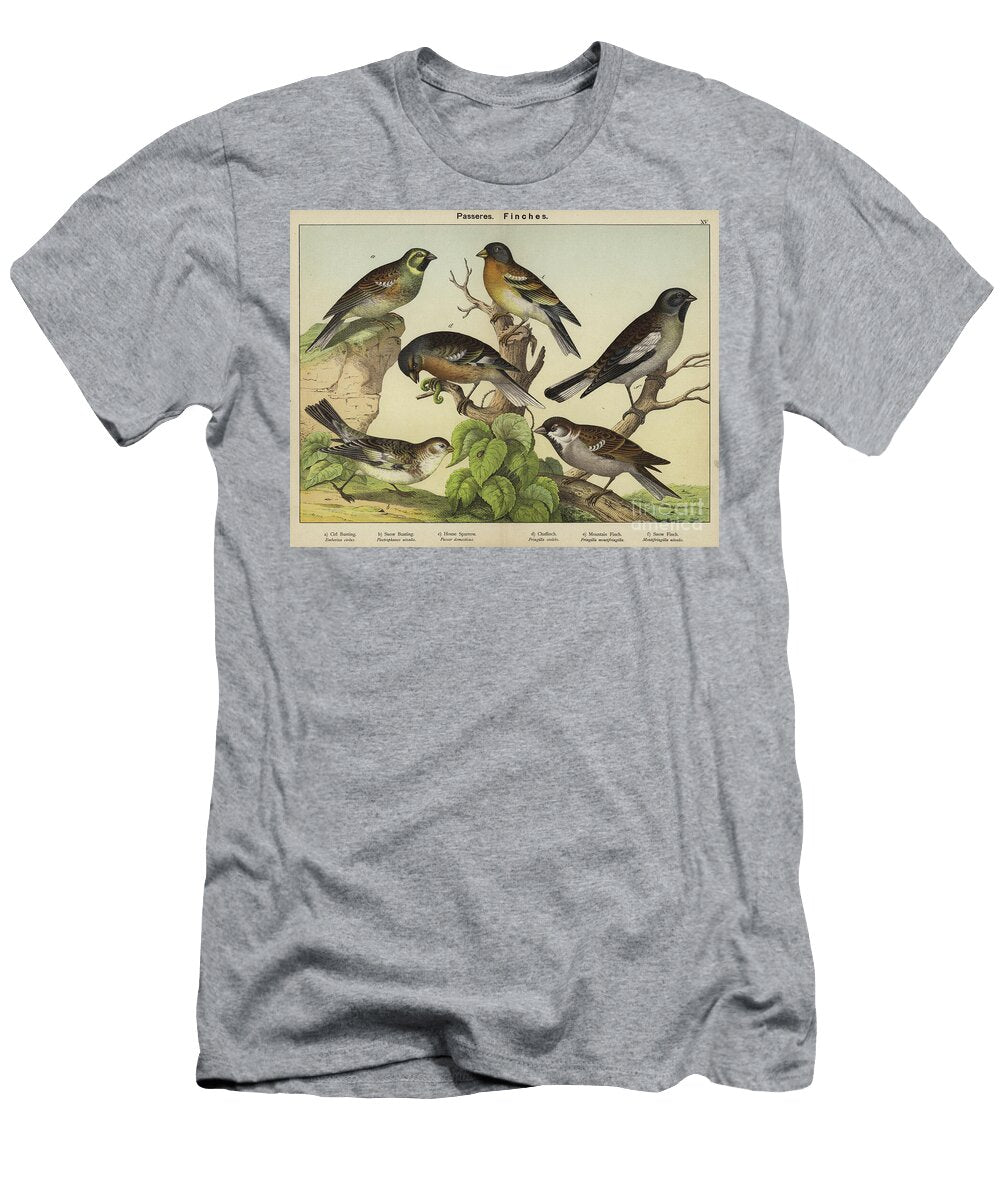 Passeres Finches European School T-Shirt