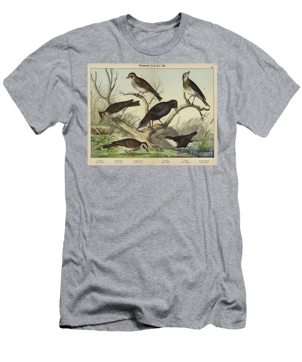Passeres Larks European School T-Shirt