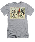 Passeres Scansores Shrikes and Parrots European School T-Shirt