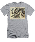 Passeres Titmice and Swallows European School T-Shirt
