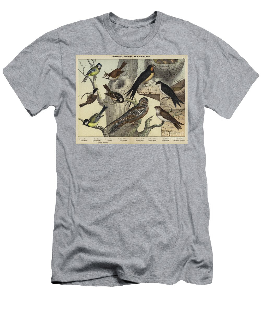 Passeres Titmice and Swallows European School T-Shirt