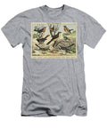 Passeres Wrens Wagtails European School T-Shirt