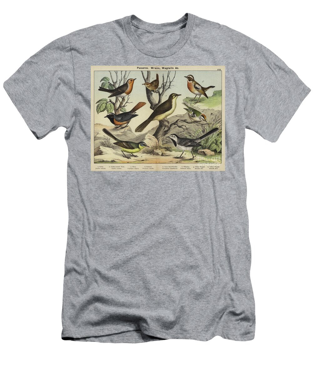 Passeres Wrens Wagtails European School T-Shirt