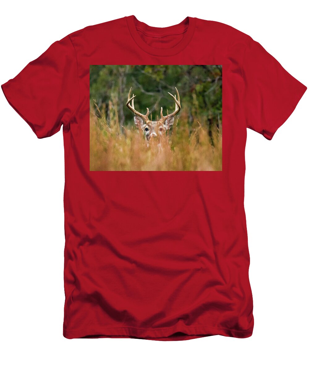 Peek a Boo Buck Chance Kirby T-Shirt