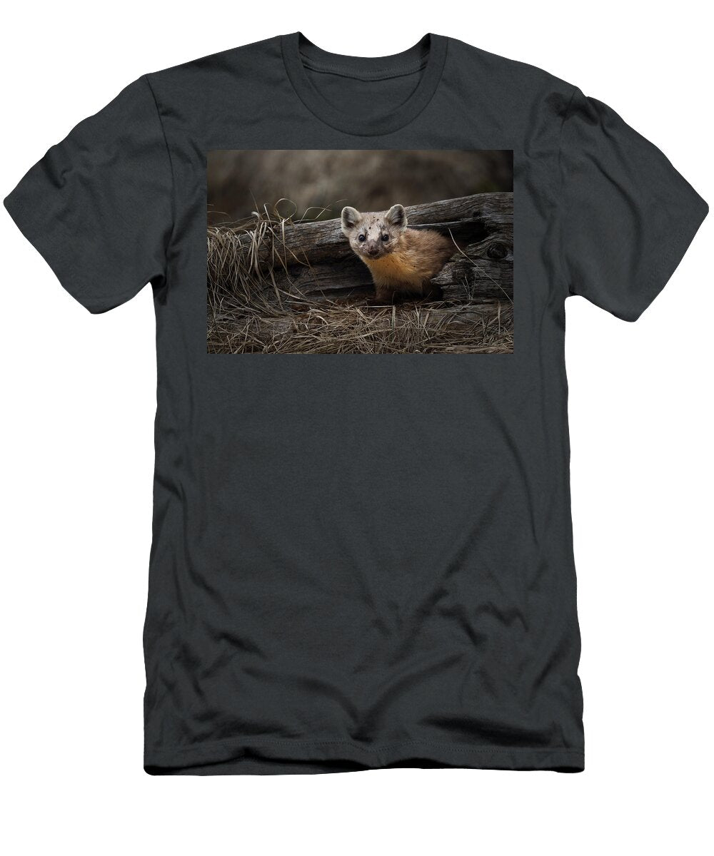 Peek a Boo Julie Argyle T-Shirt
