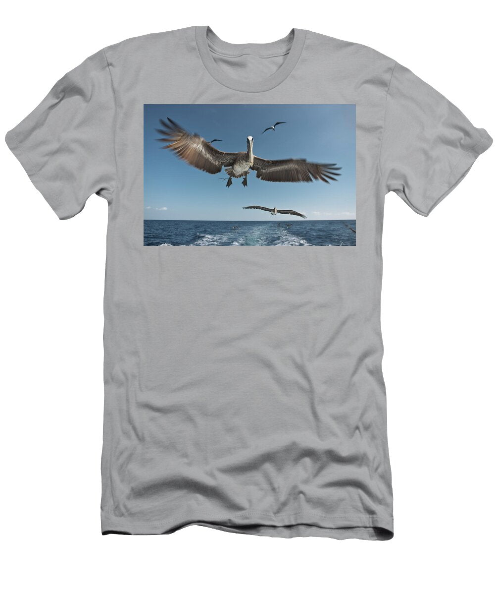 Pelican Eric Raptosh T-Shirt