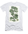 Peperomie Feutree European School T-Shirt