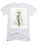 Peperomy Variete European School T-Shirt