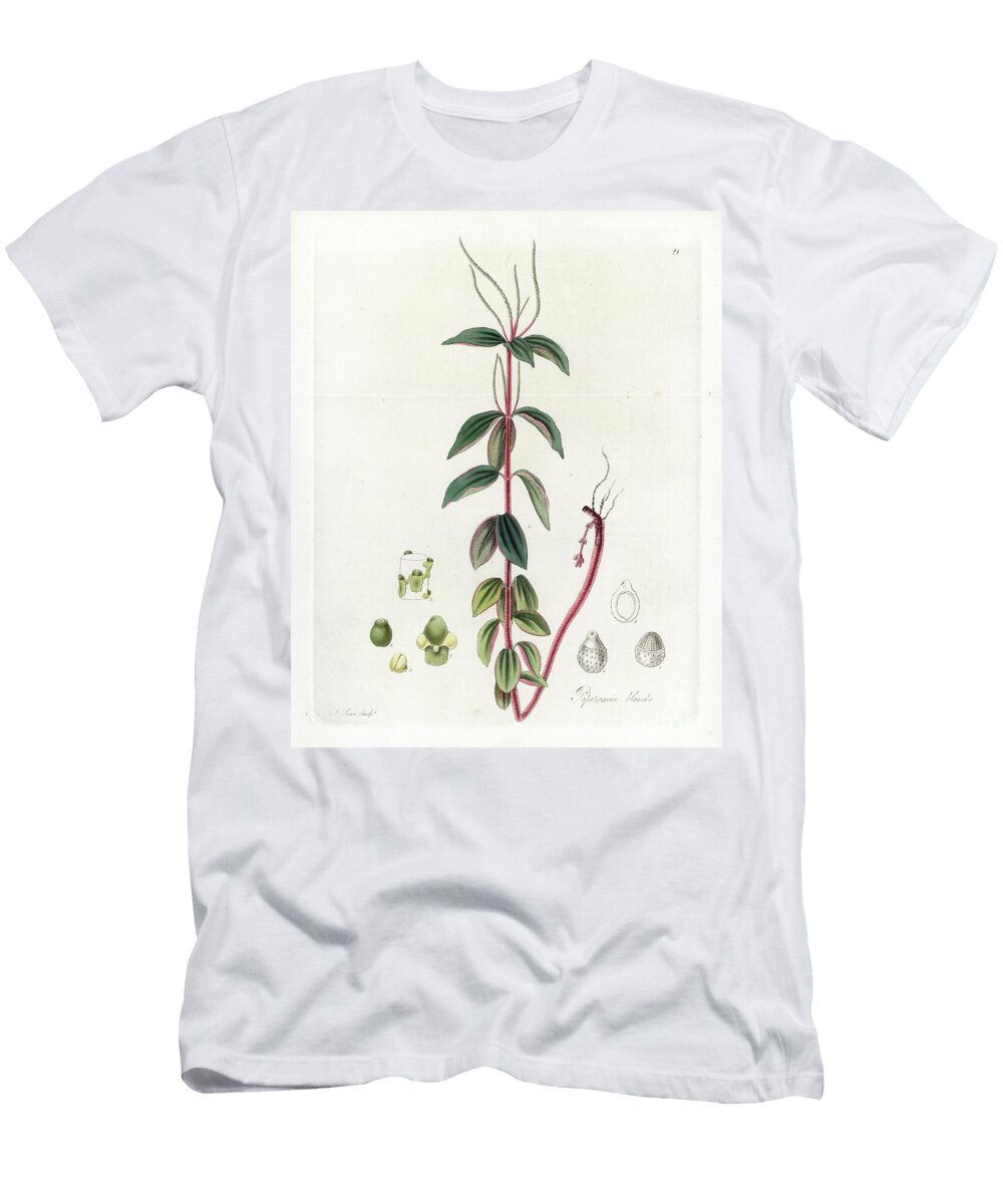 Peperomy Variete European School T-Shirt