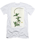 Pereskia Leaf Peperomie European School T-Shirt