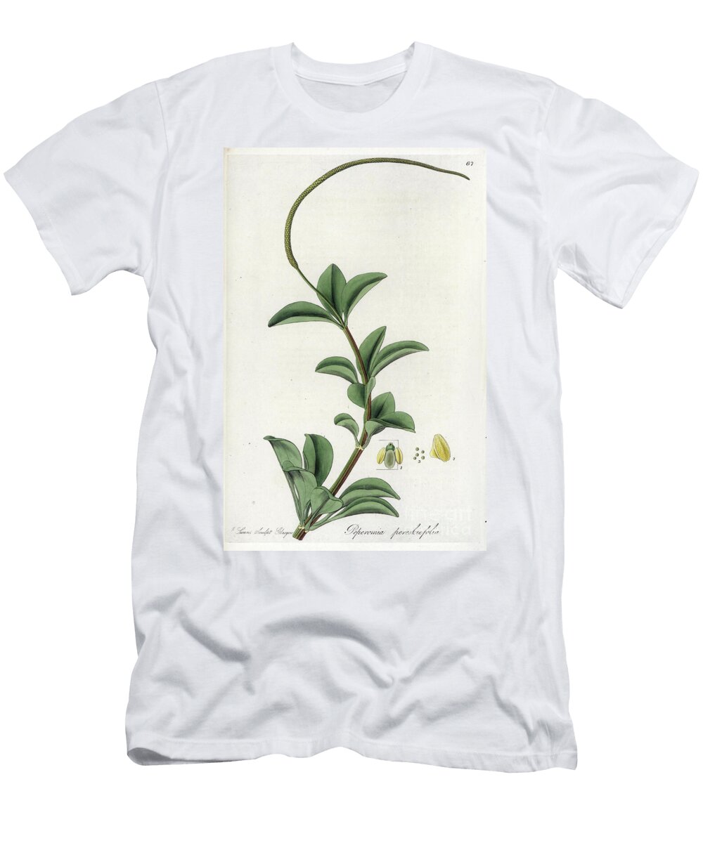 Pereskia Leaf Peperomie European School T-Shirt