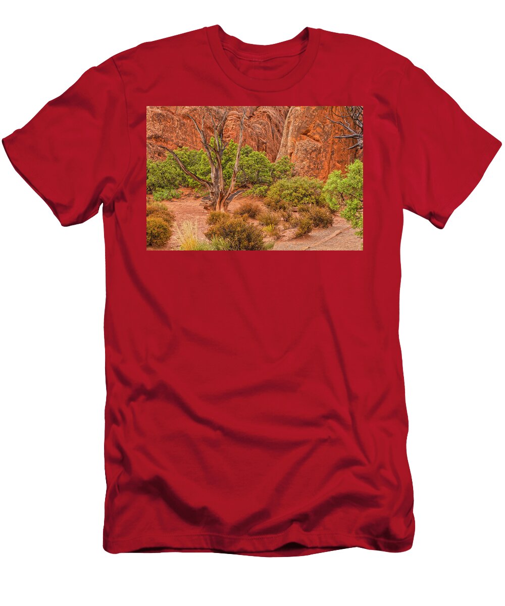Petrified Garden Angelo Marcialis T-Shirt