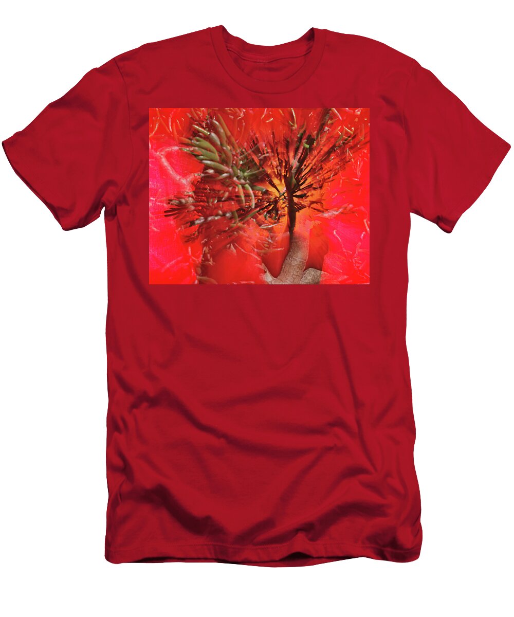 Photo Sin Thesis Susan Capuano T-Shirt