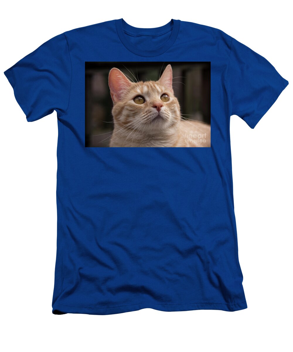 Pika Lisa L Silva T-Shirt