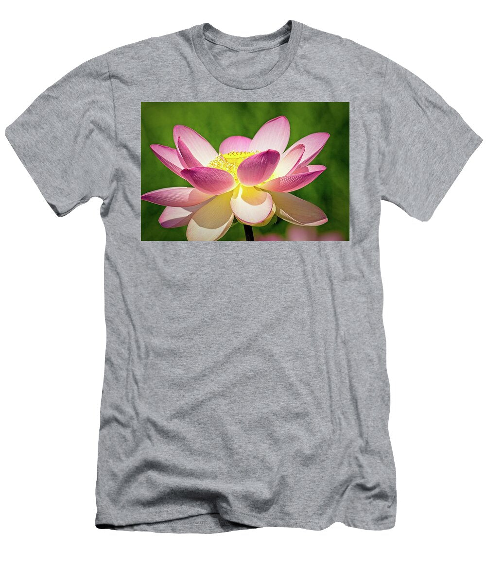 Pink and White Lotus Flower At Grounds for Sculptures Geraldine Scull T-Shirt
