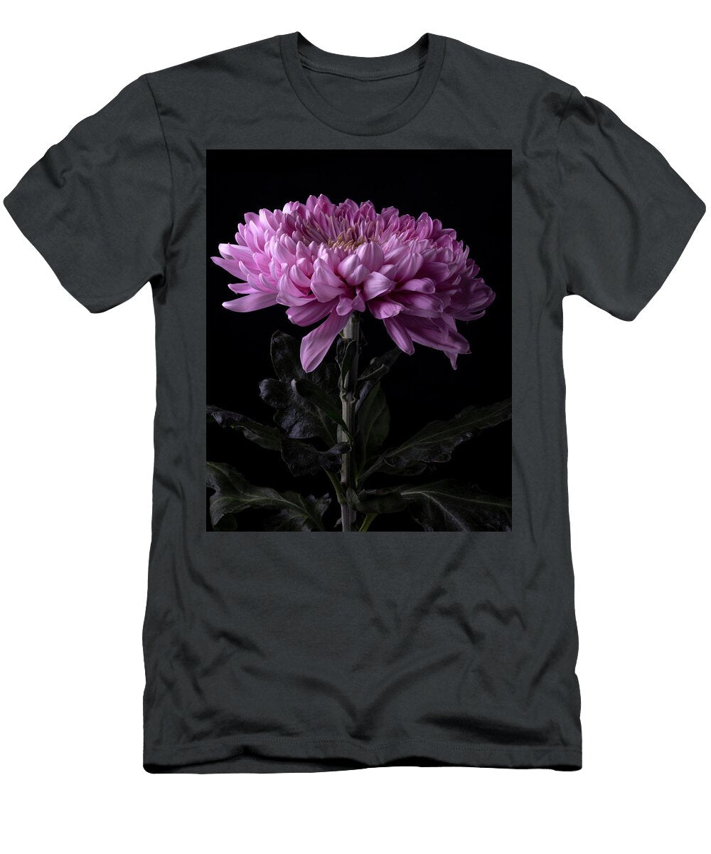 Pink Chrysanthemum Flower Portrait Series 1 Part 1 Flower in Full Bloo Nailia Schwarz T-Shirt