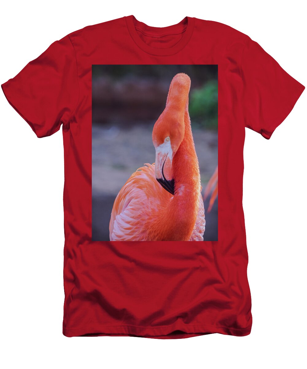 Pink Flamingo Angela Carrion Photography T-Shirt