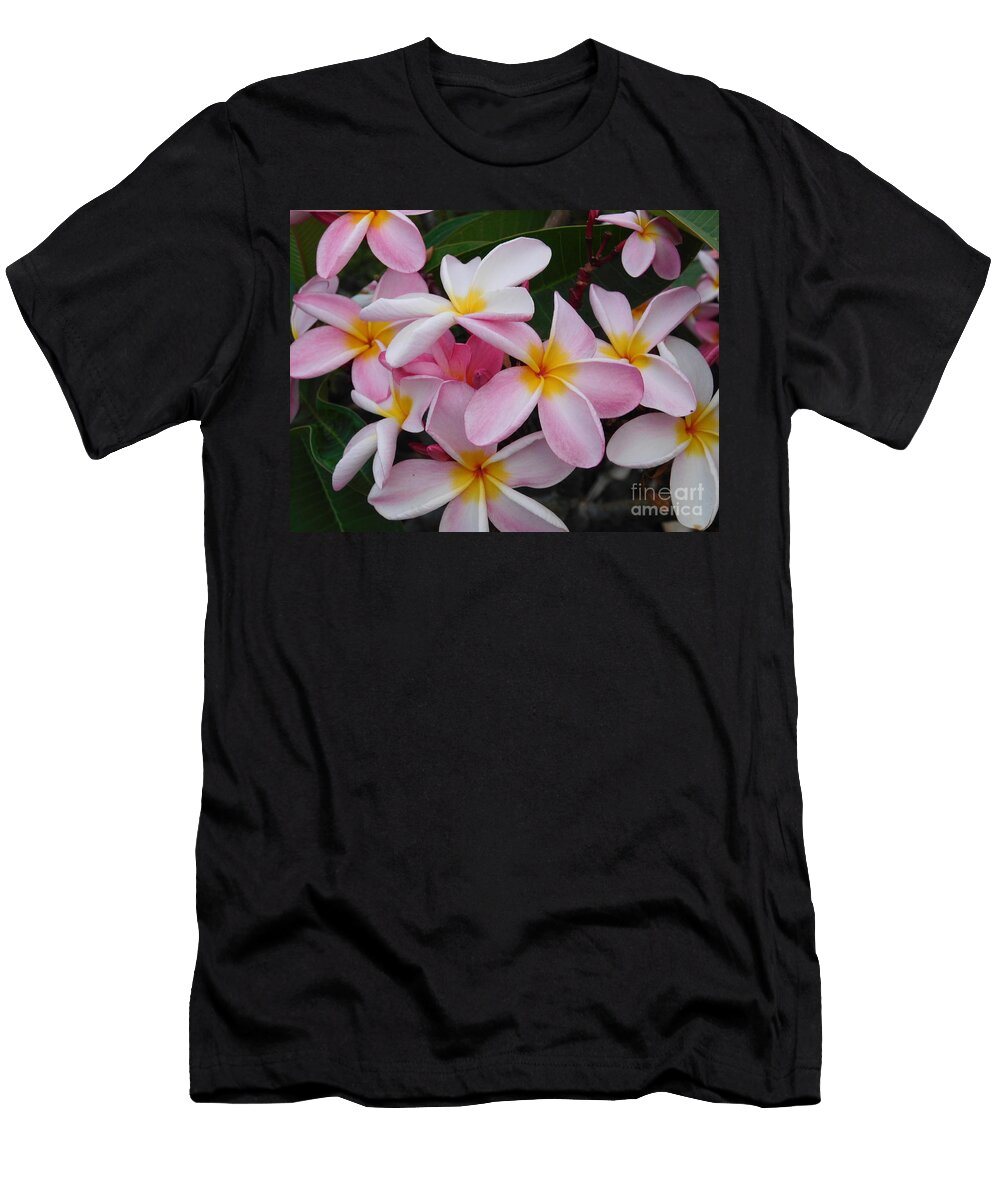 Plumeria Pinks Cat Pancake T-Shirt
