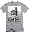 Portrait of a Foal Underwood Archives T-Shirt