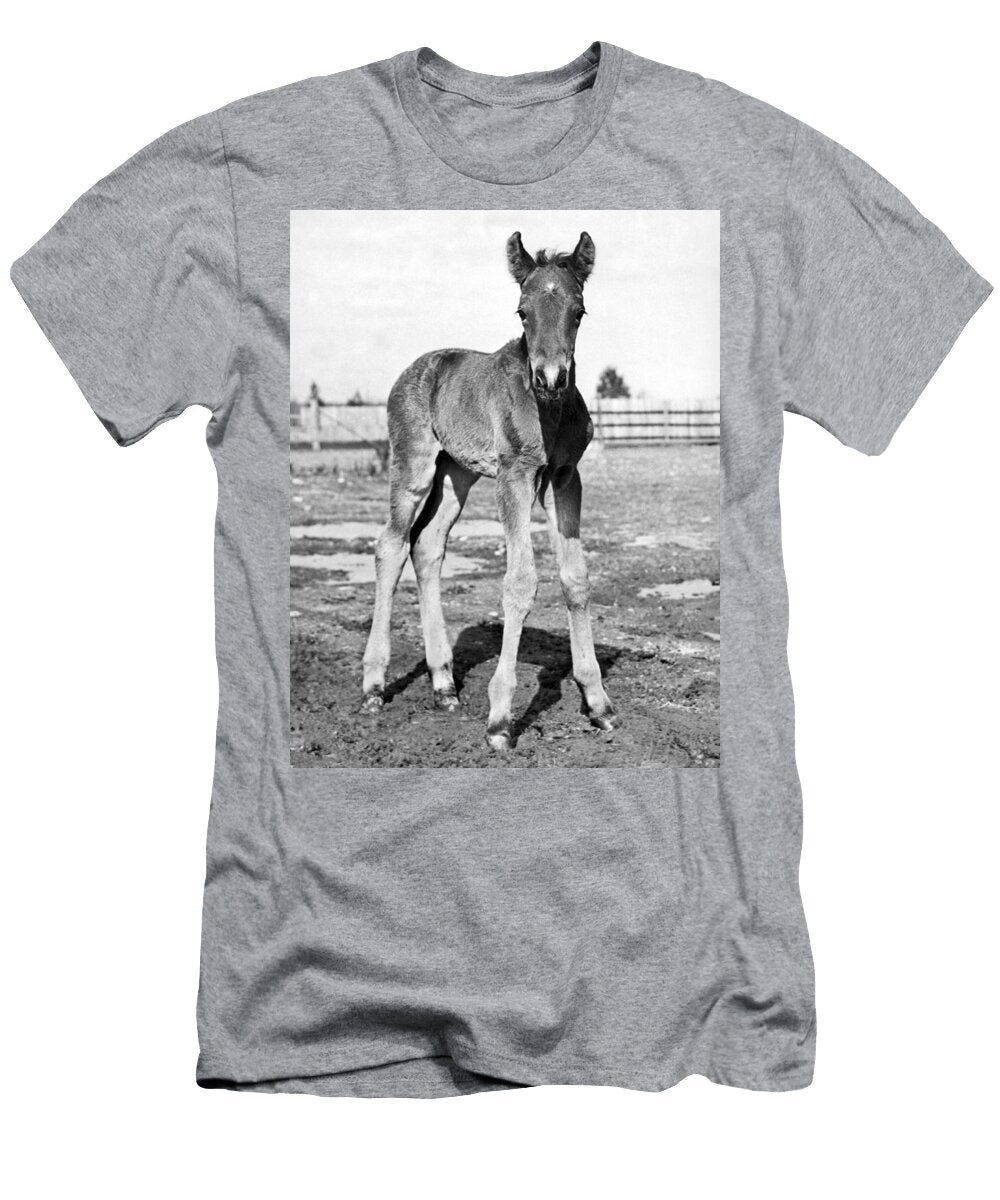 Portrait of a Foal Underwood Archives T-Shirt