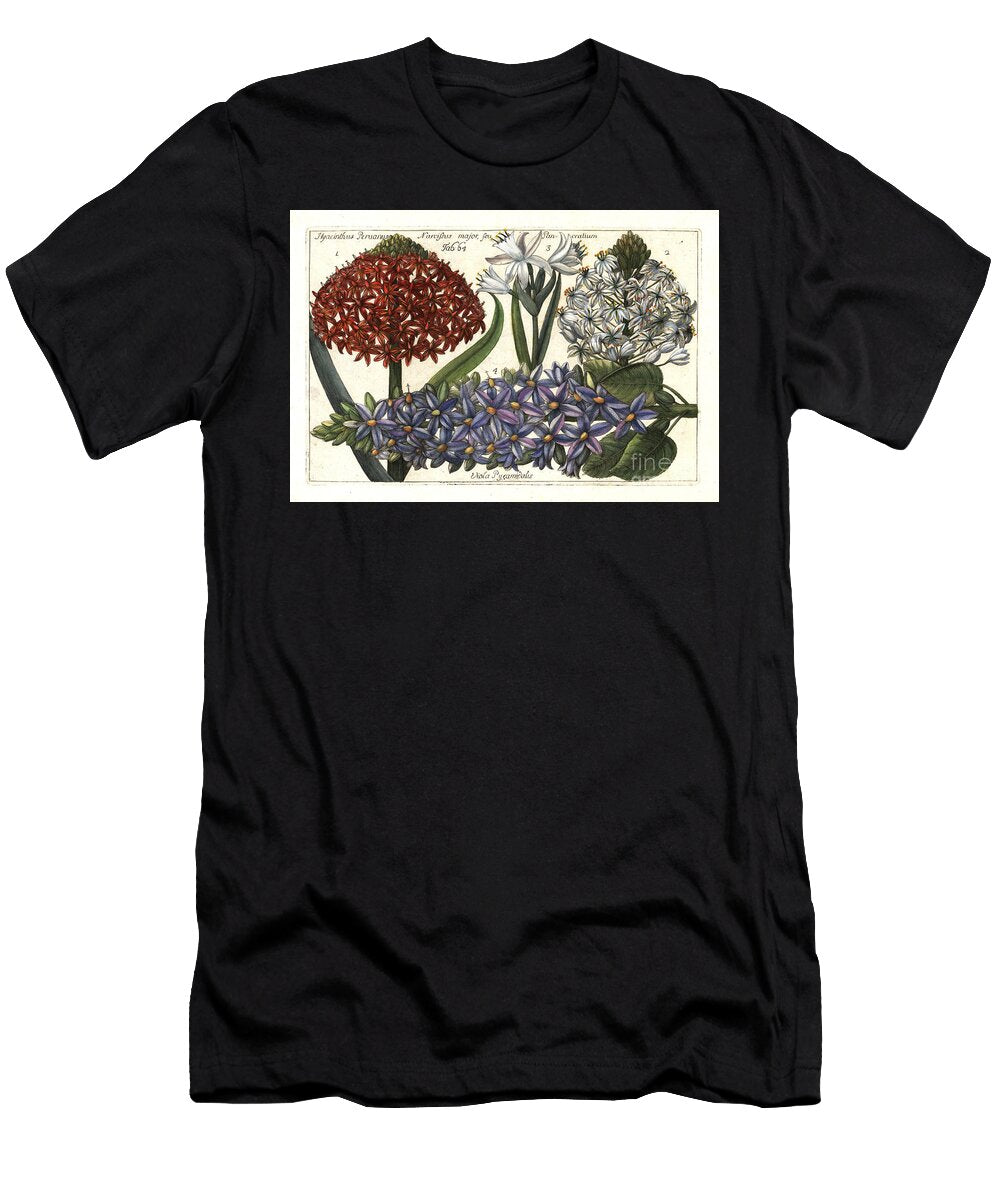 Portuguese Squill Scilla Peruviana 12 Sea Daffodil Pancratium Maritimum 3 and Pyramidal Bugle Ajuga Pyramidalis 4 European School T-Shirt