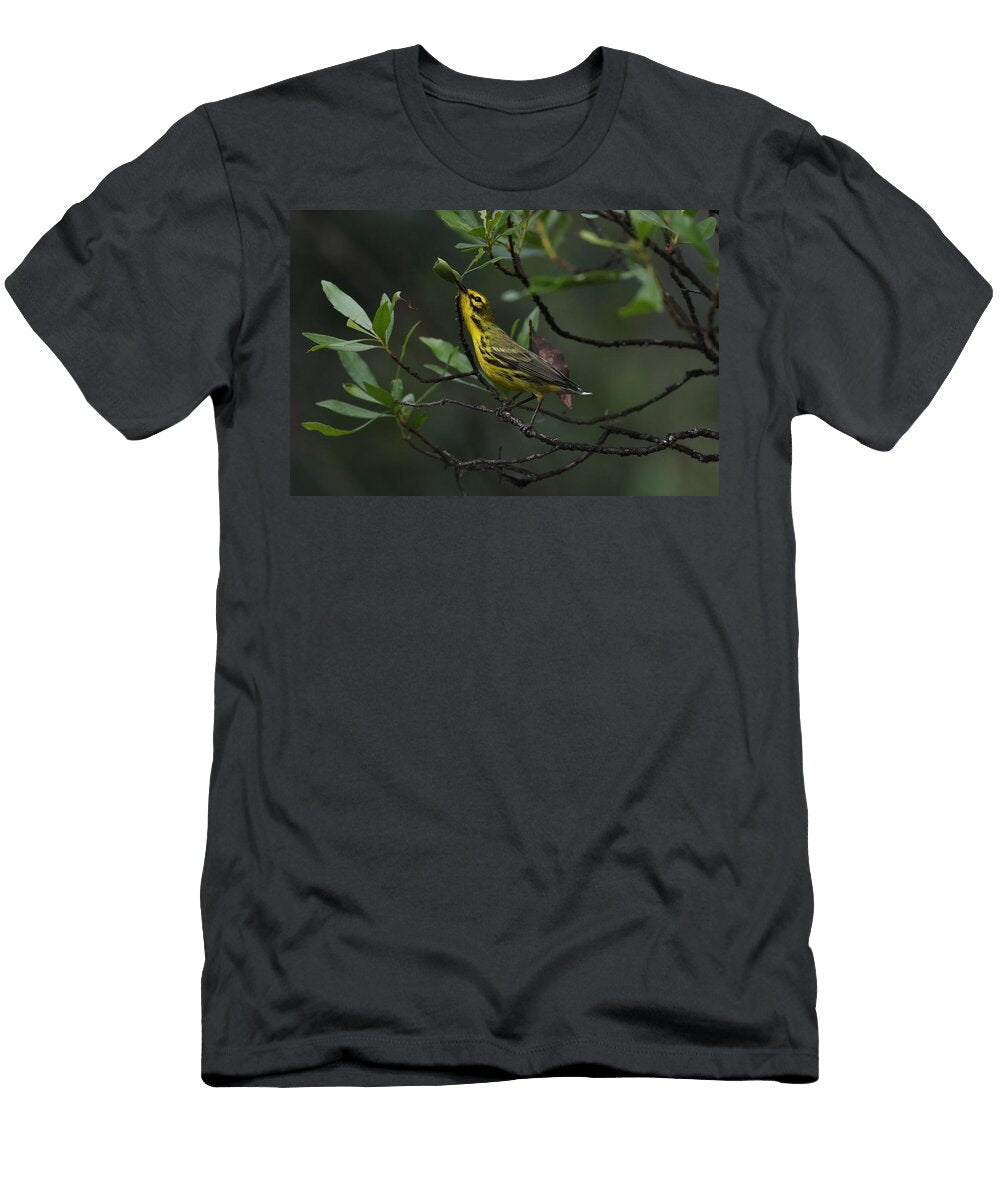 Prairie Warbler Clutches Leaf Will Taber T-Shirt