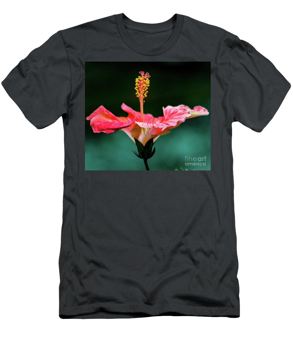 Pretty Hibiscus Hollie Davenport T-Shirt