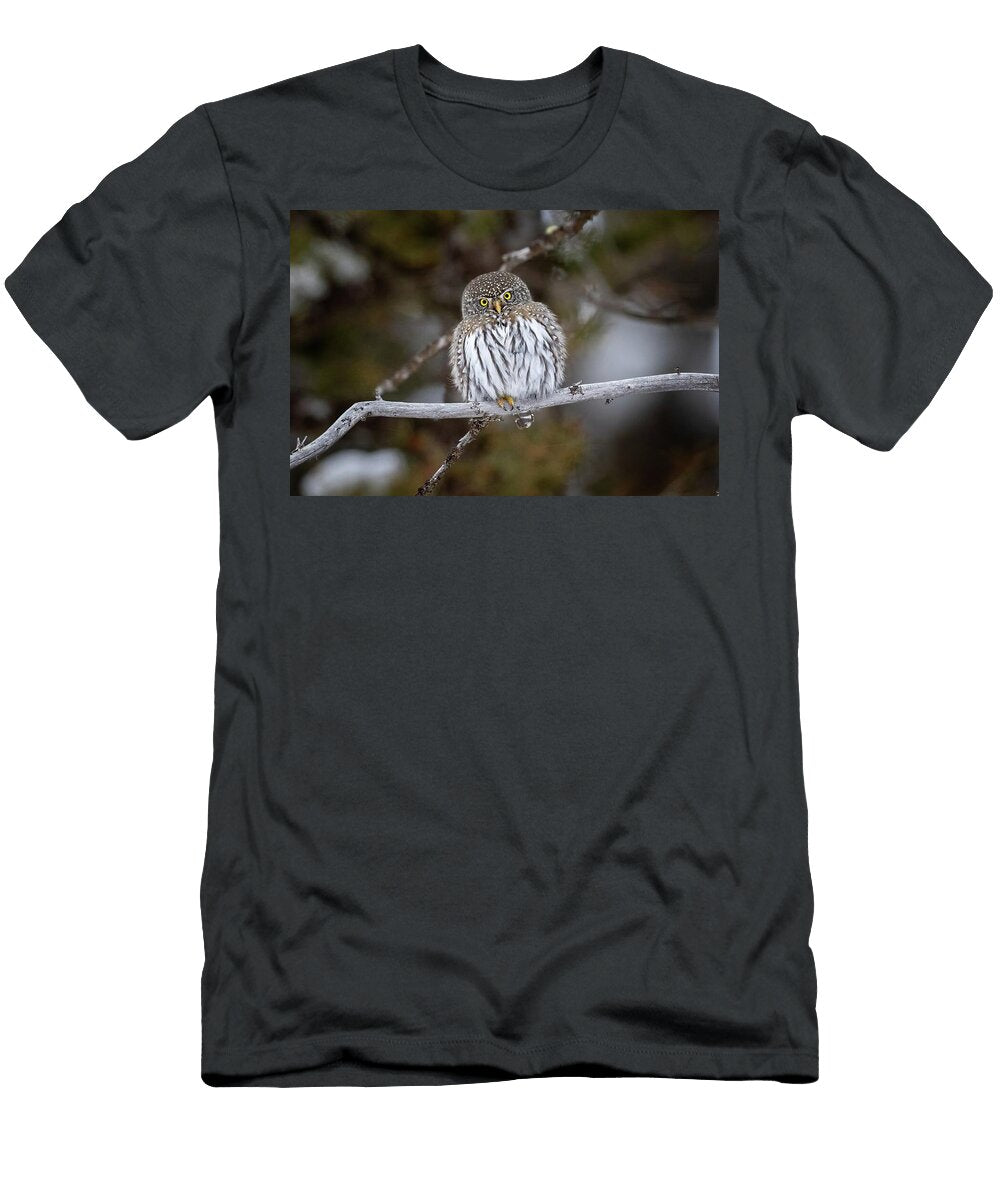Pygmy Julie Argyle T-Shirt