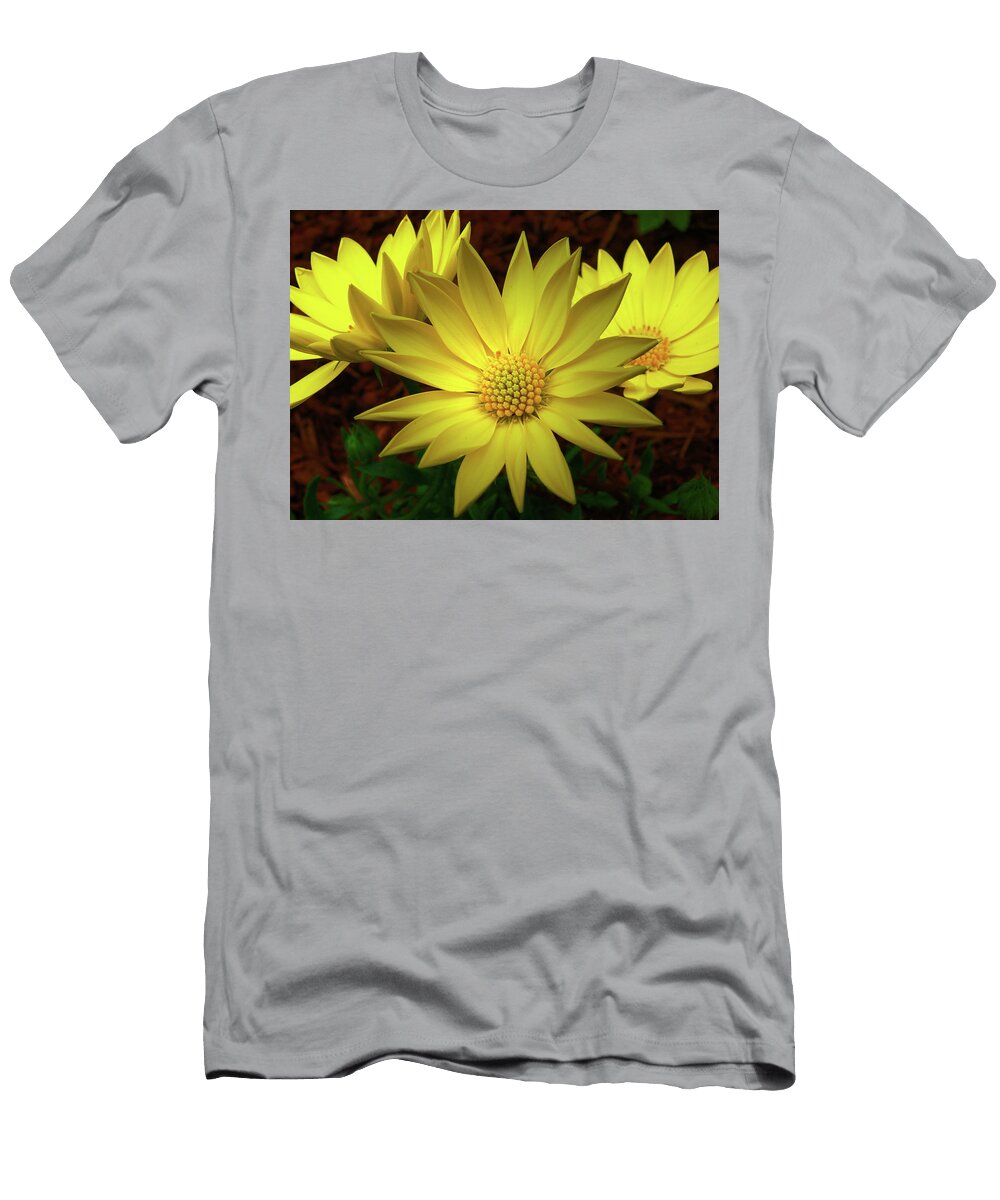 Radiant Three Heather Asselin T-Shirt