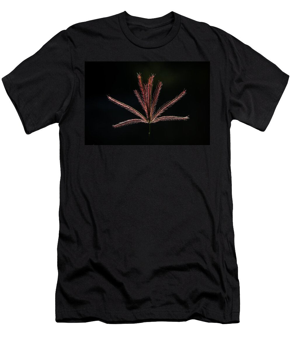 Radiata Mario Morales Rubi T-Shirt