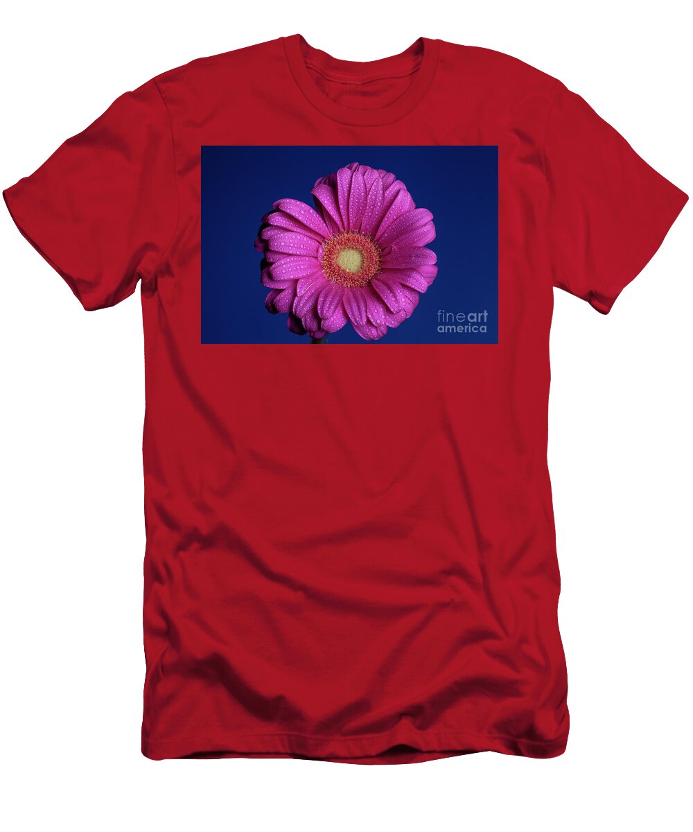 Radiator Doug Norkum T-Shirt