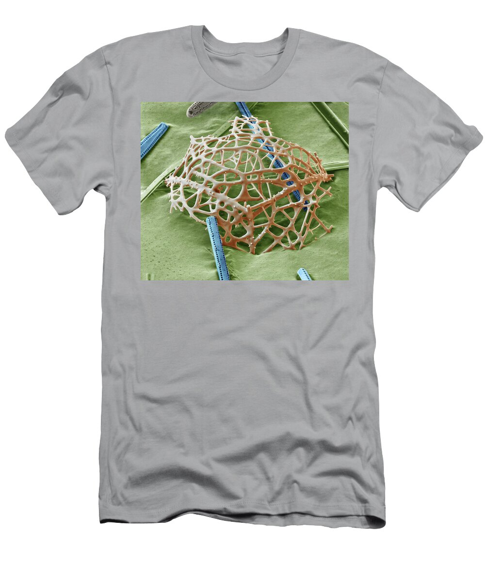 Radiolarian Lamprospyris Huxleyi Sem Oliver Meckes Eye of Science T-Shirt