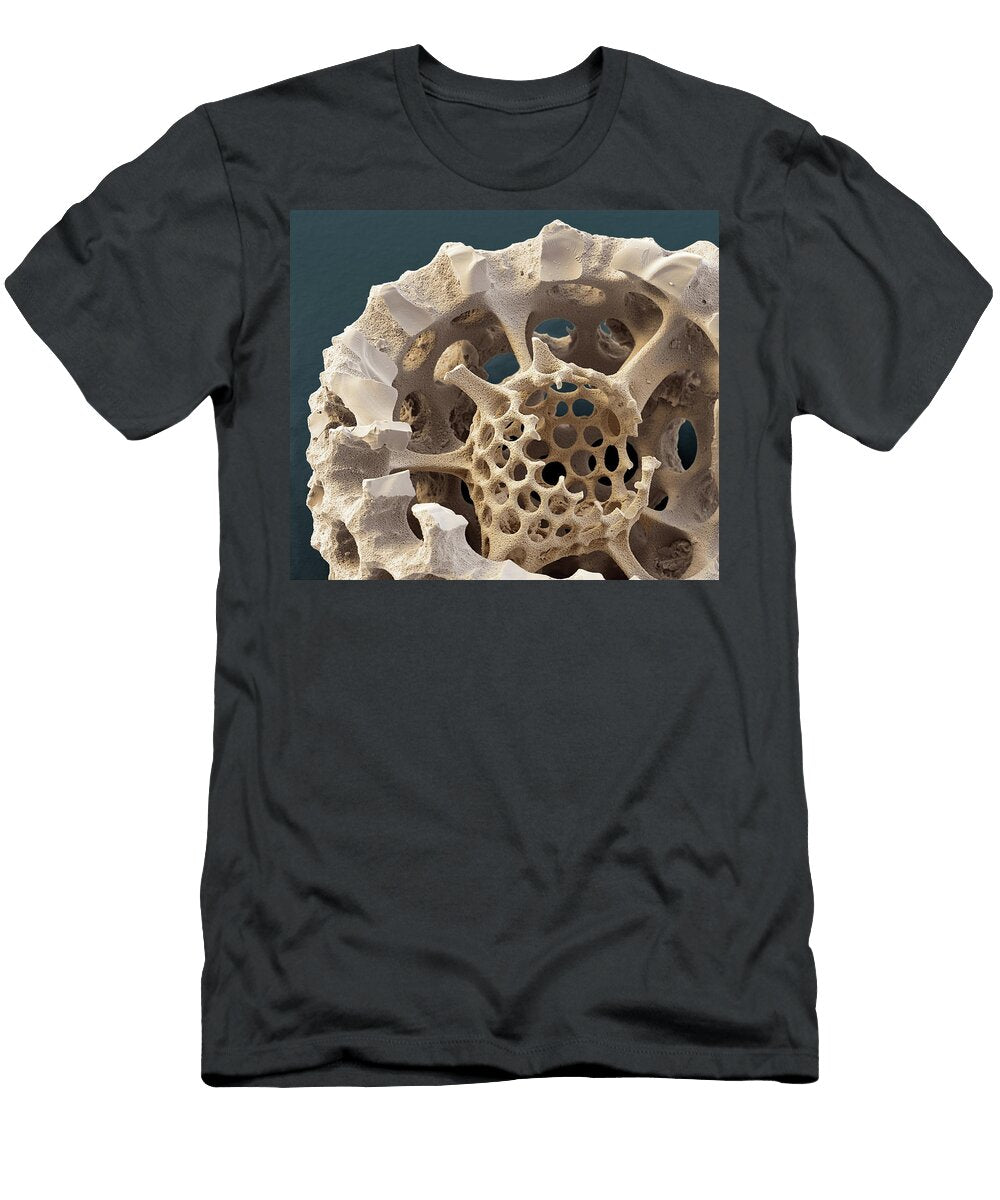 Radiolarian Stylosphra Sp Sem Oliver Meckes Eye of Science T-Shirt