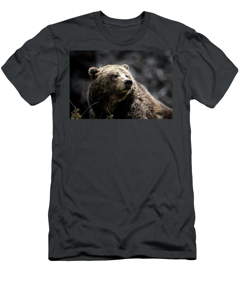 Raspberry Julie Argyle T-Shirt
