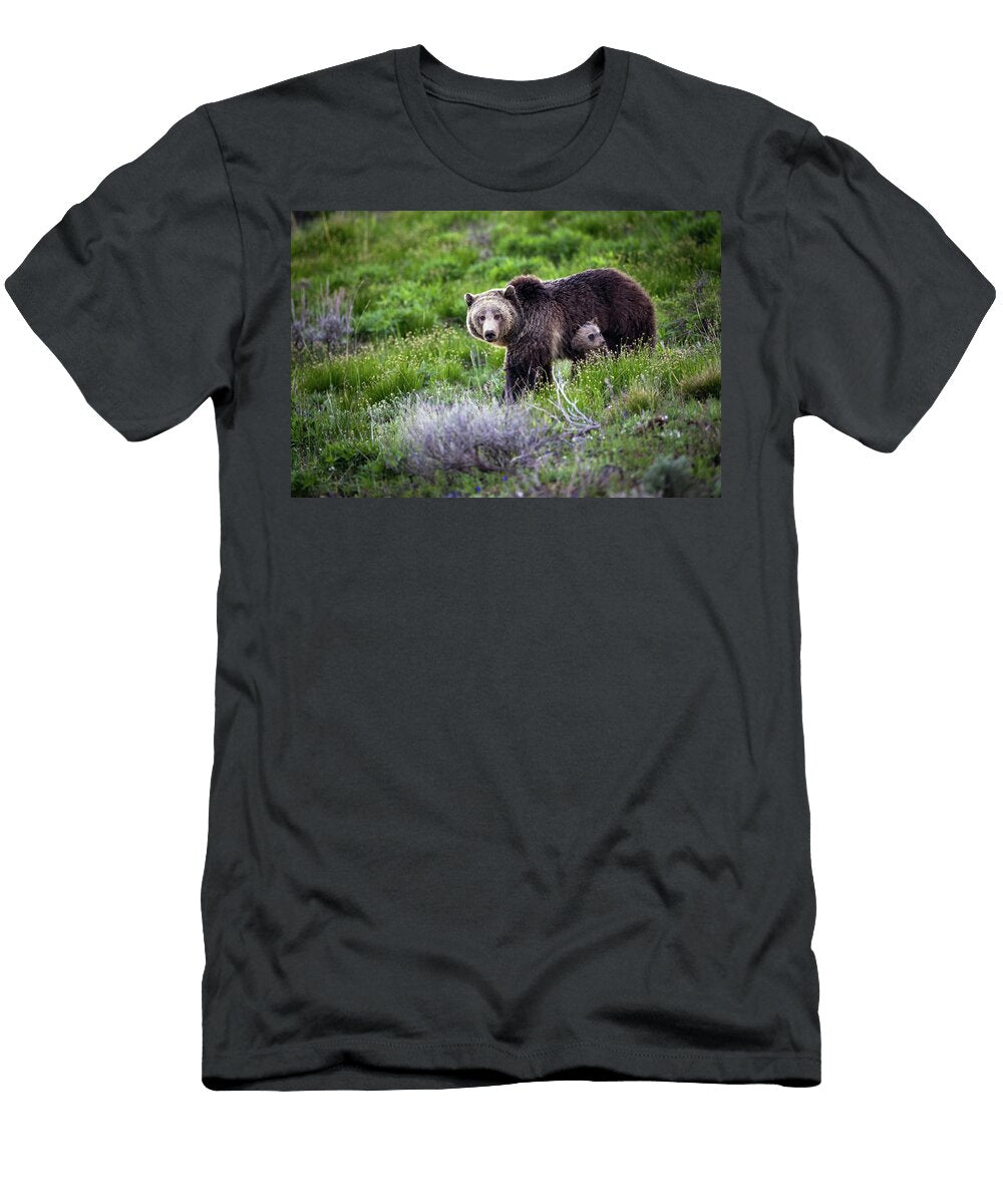Raspberrys Little Love Julie Argyle T-Shirt