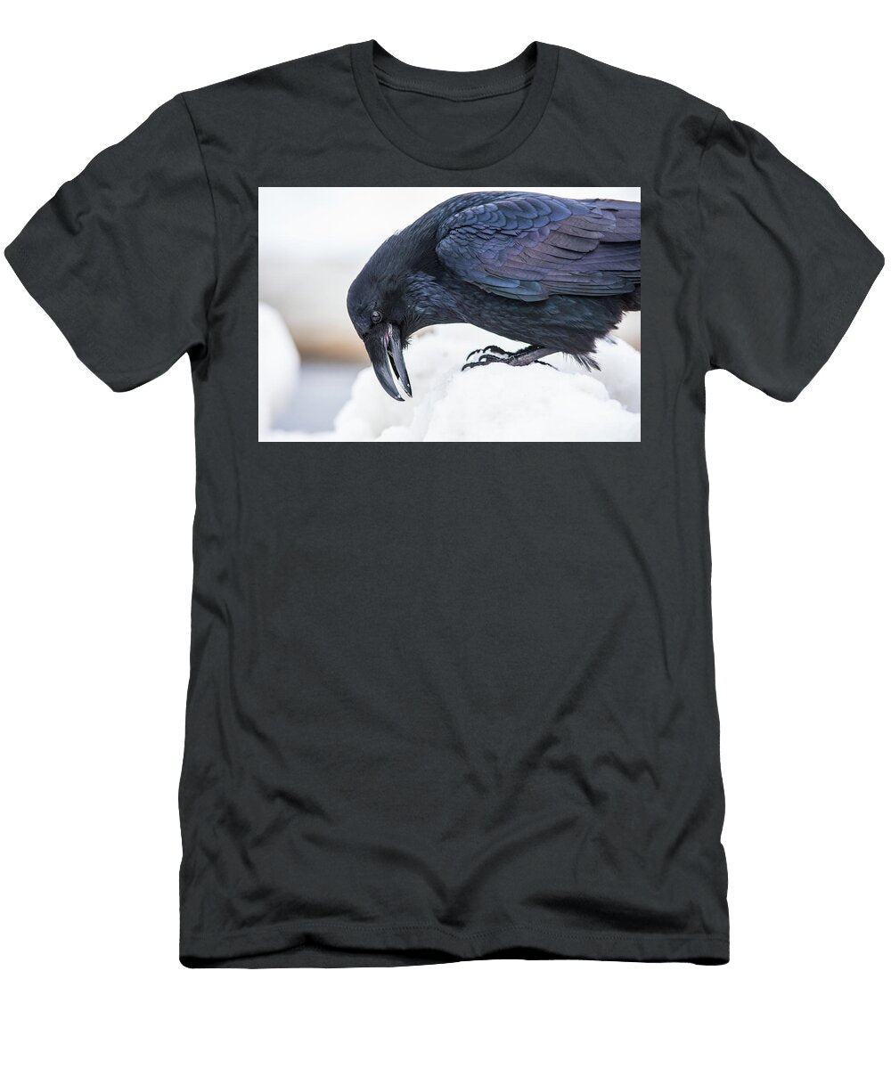 Raven 2 David Kirby T-Shirt