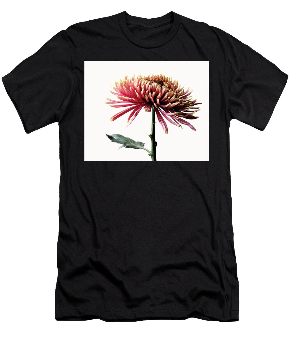 Red Chrysanthemum Flower Series 2 Part 1 Image 02 Nailia Schwarz T-Shirt