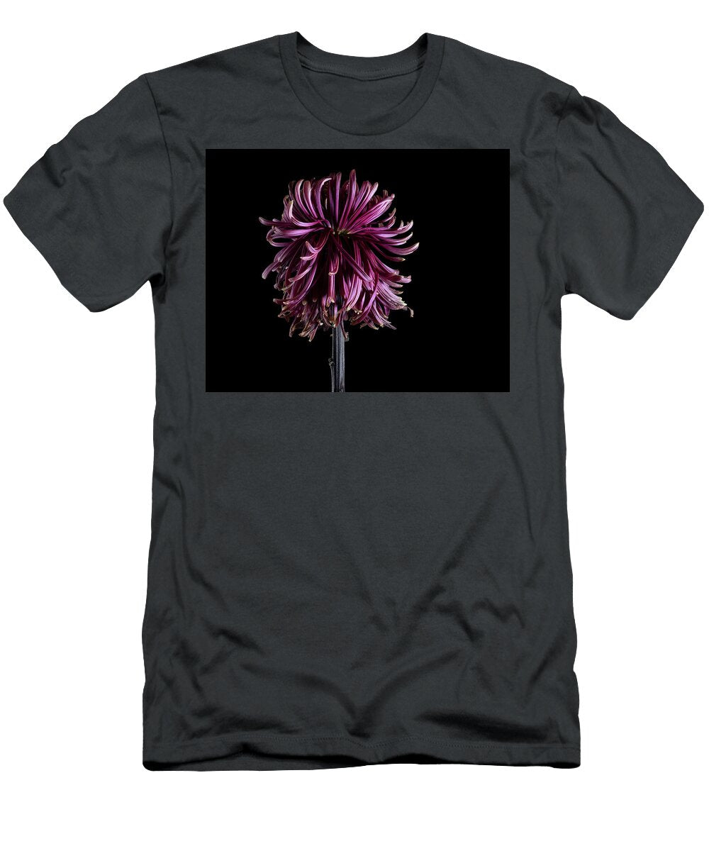 Red Chrysanthemum Flower Series 2 Part 2 Image 05 Nailia Schwarz T-Shirt