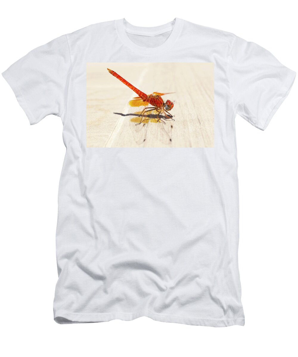 Red Dragonfly 02 Weston Westmoreland T-Shirt